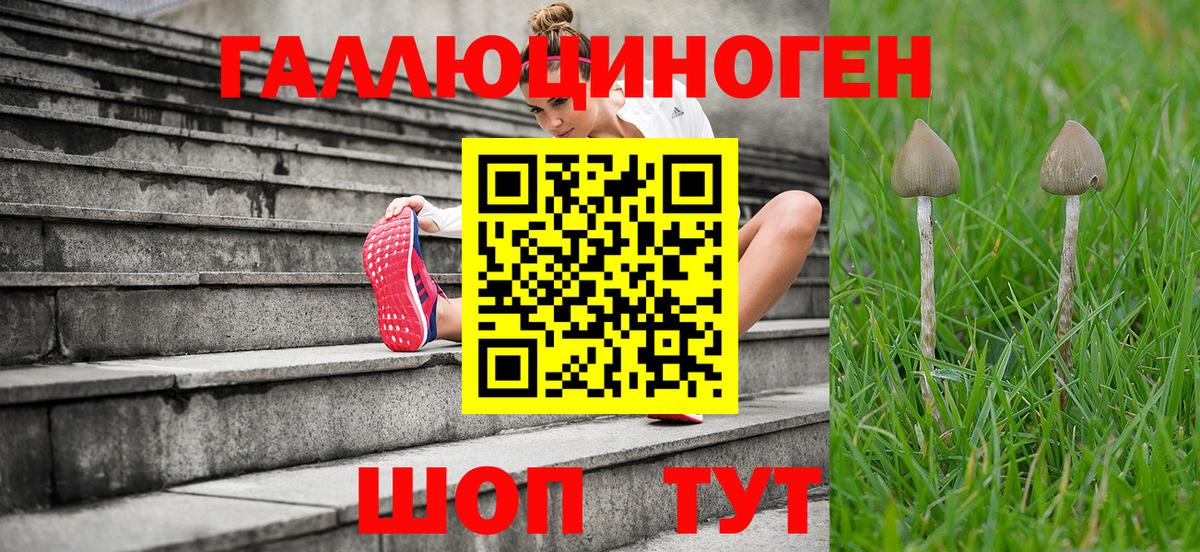 Галлюциногенные грибы прущие грибы Новошахтинск